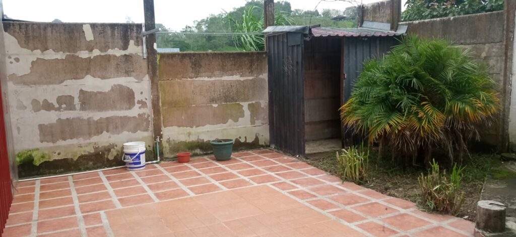 d89c0e88-4826-46d3-836c-1400e6ed08f3_kiiba7