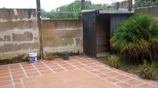 d89c0e88-4826-46d3-836c-1400e6ed08f3_kiiba7