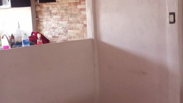 e9e16d6c-6d45-4801-b087-8e8354ad6661_dnxiaz